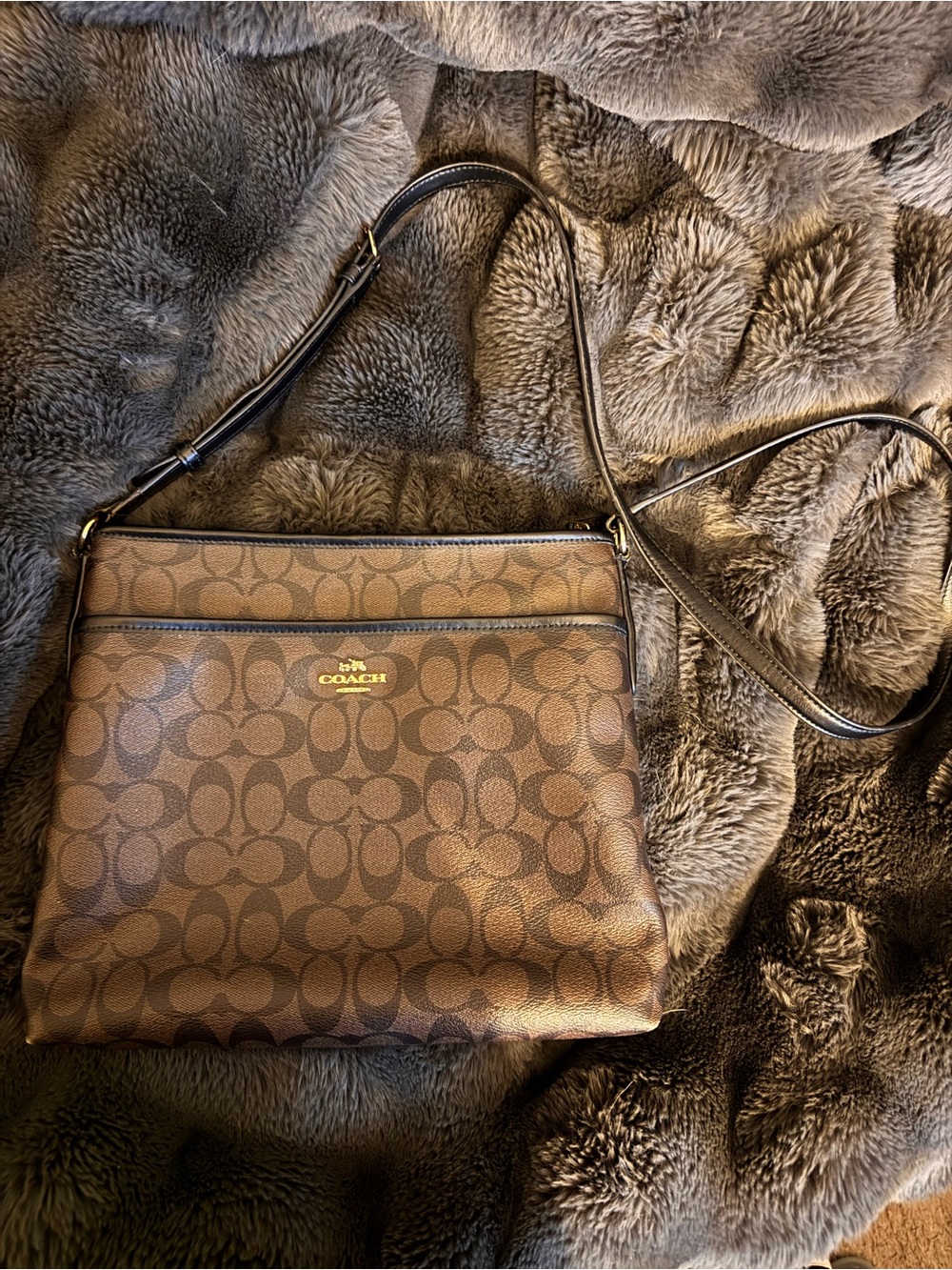 Coach Brown Signature Canvas Crossbody with Gold Logo